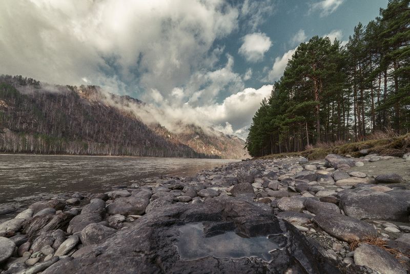 река, берег, камни, вода, облака, утро, весна, путешествие, лес, сосны, Утренняя Катунь фото превью