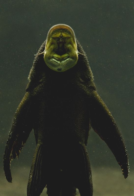 untitled#12 фото превью