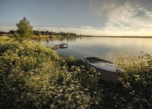 Летнее утро 