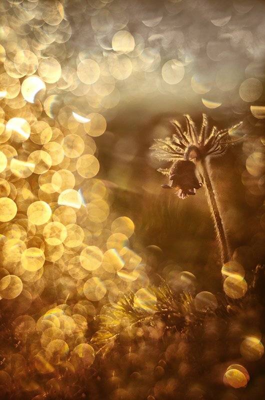 , Татьяна Аверина