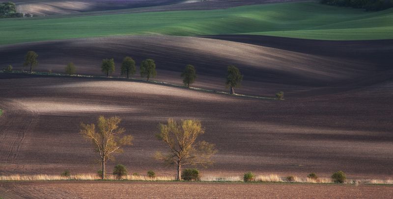 поле весна чехия Моравская классика фото превью