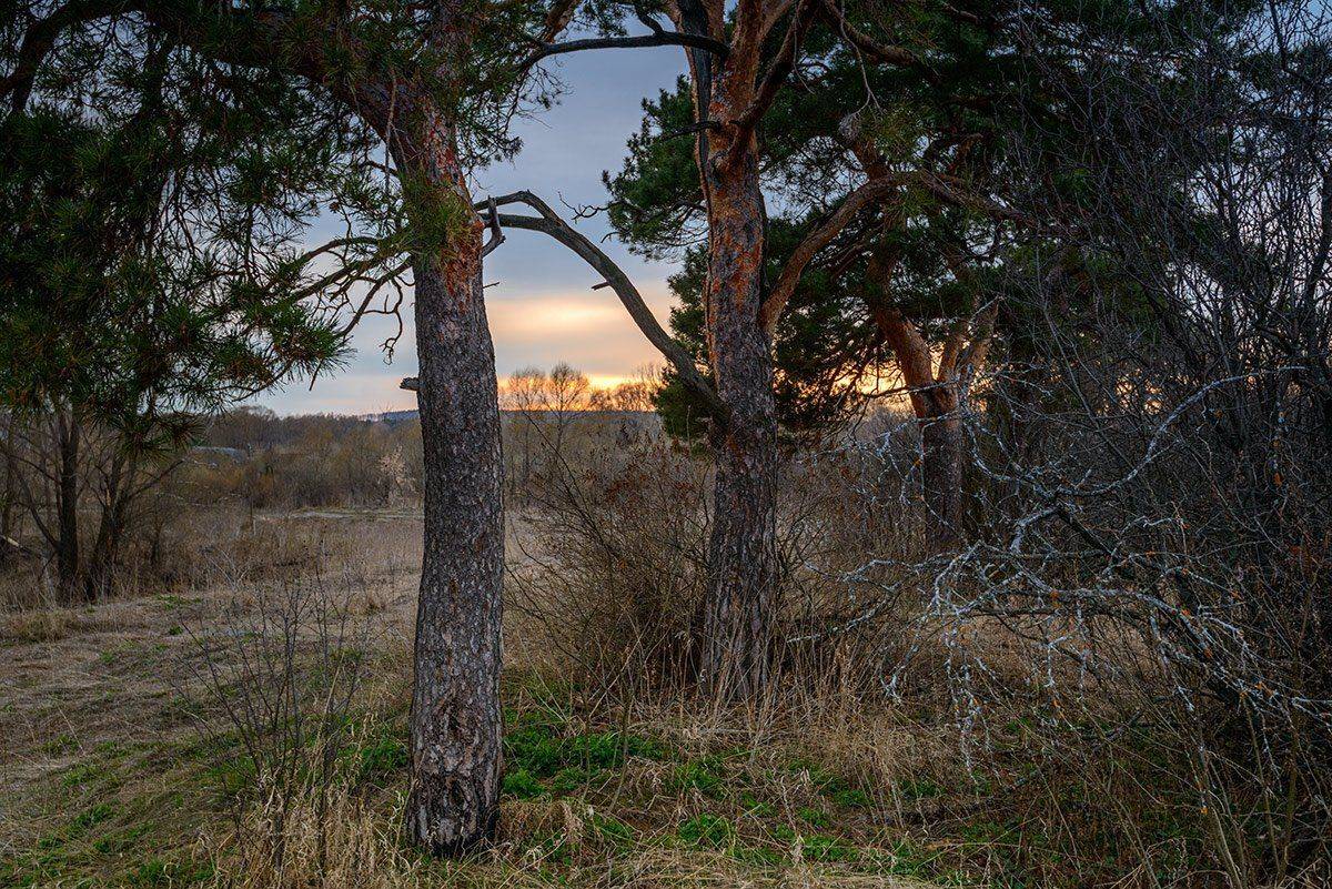 , Владислав Никишин