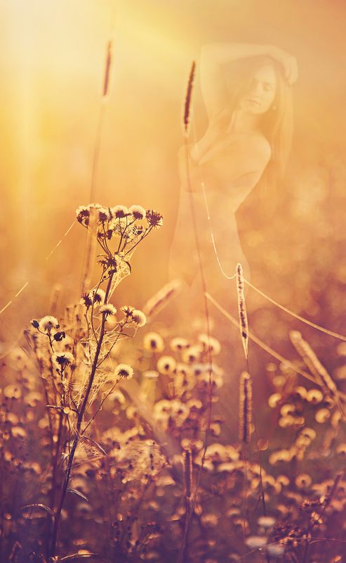 Morning фото превью