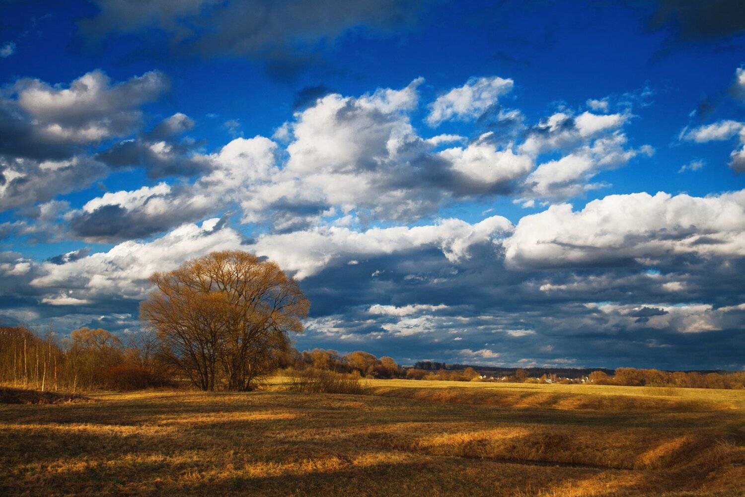 фото, природа, закат, поле, лес, Екатерина