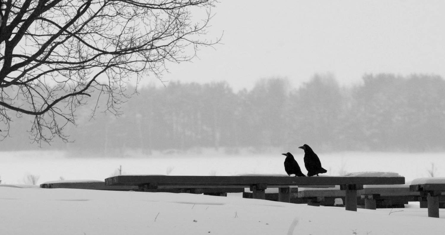 , Никитин Александр