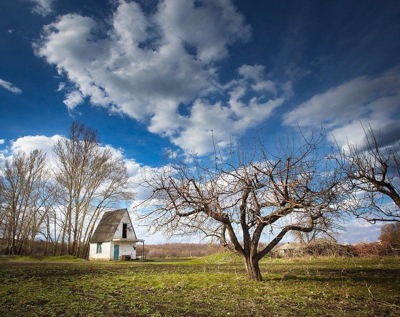 * фото превью