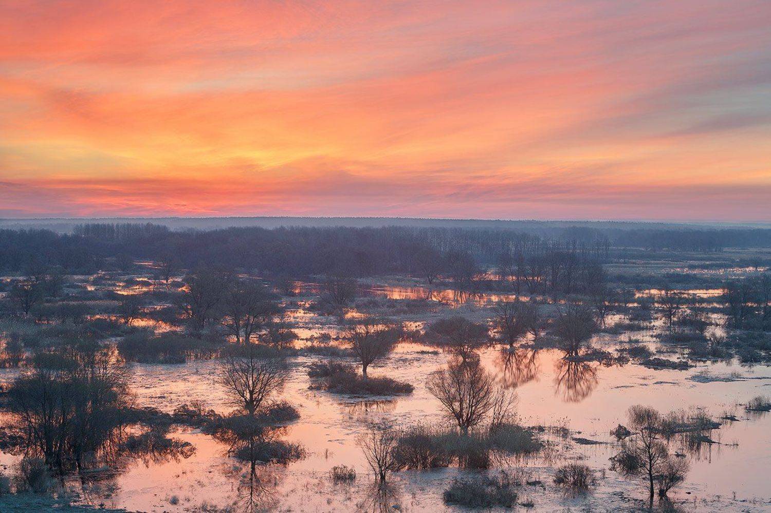 , Юрий Сорокин