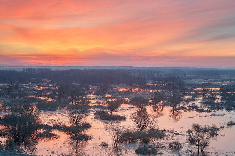 Апрельский рассвет. фото превью
