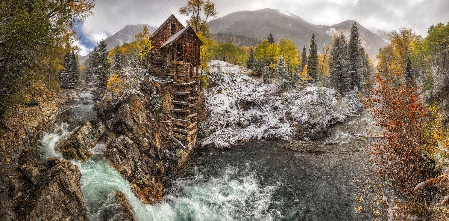 , Дмитрий Архипов