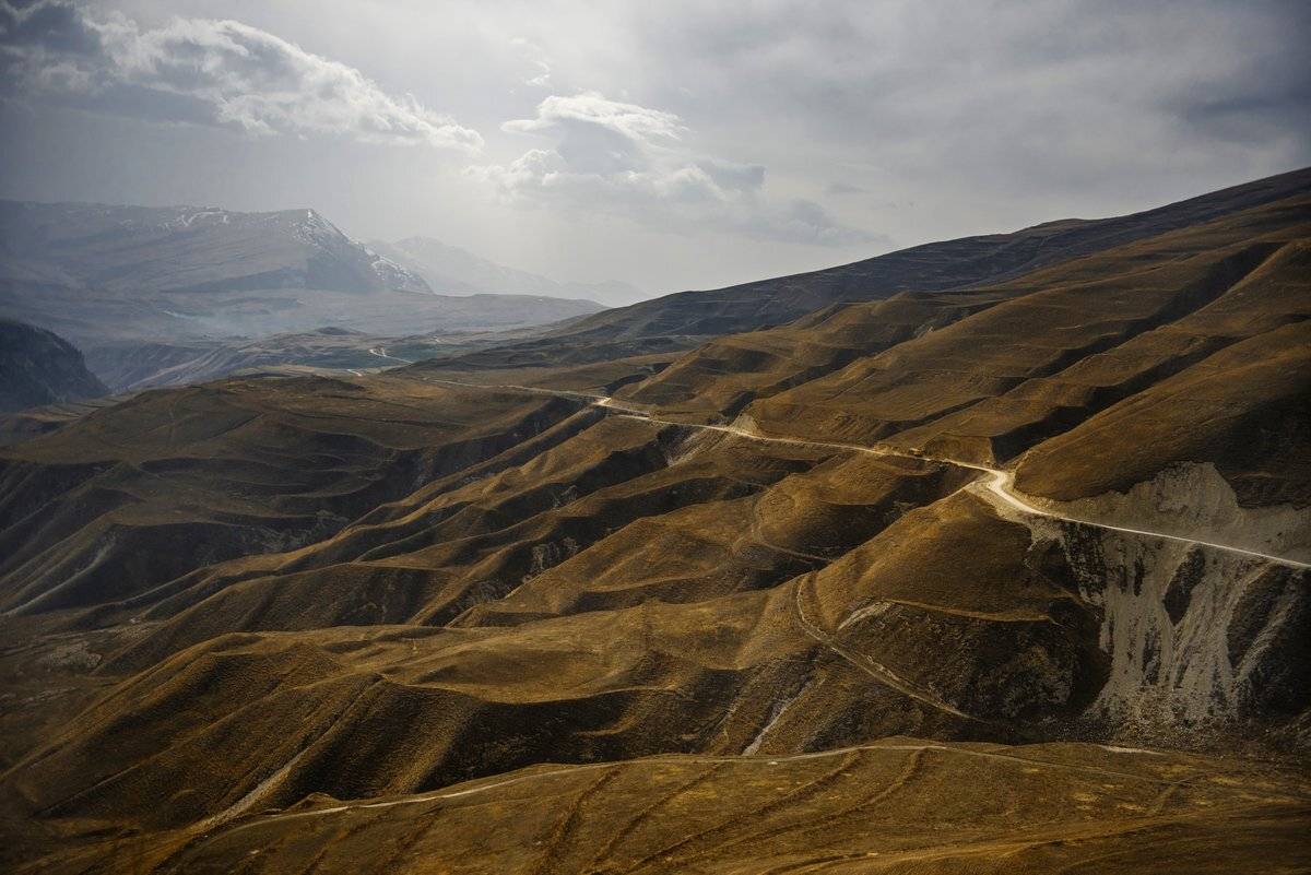 зарисовки, Александр Маркелов
