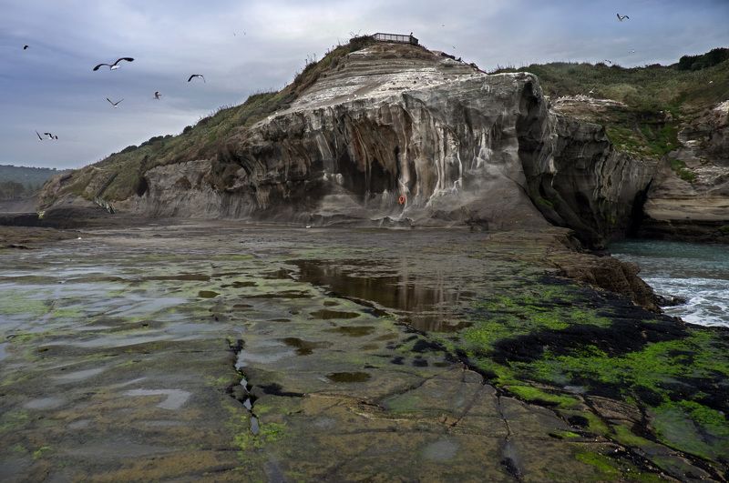 Тасманово море фото превью