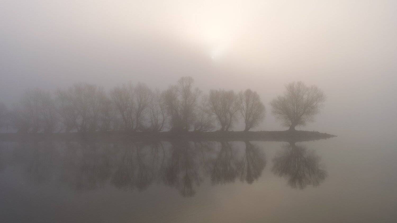 Rhein. Автор: Исаков Дмитрий , Исаков Дмитрий