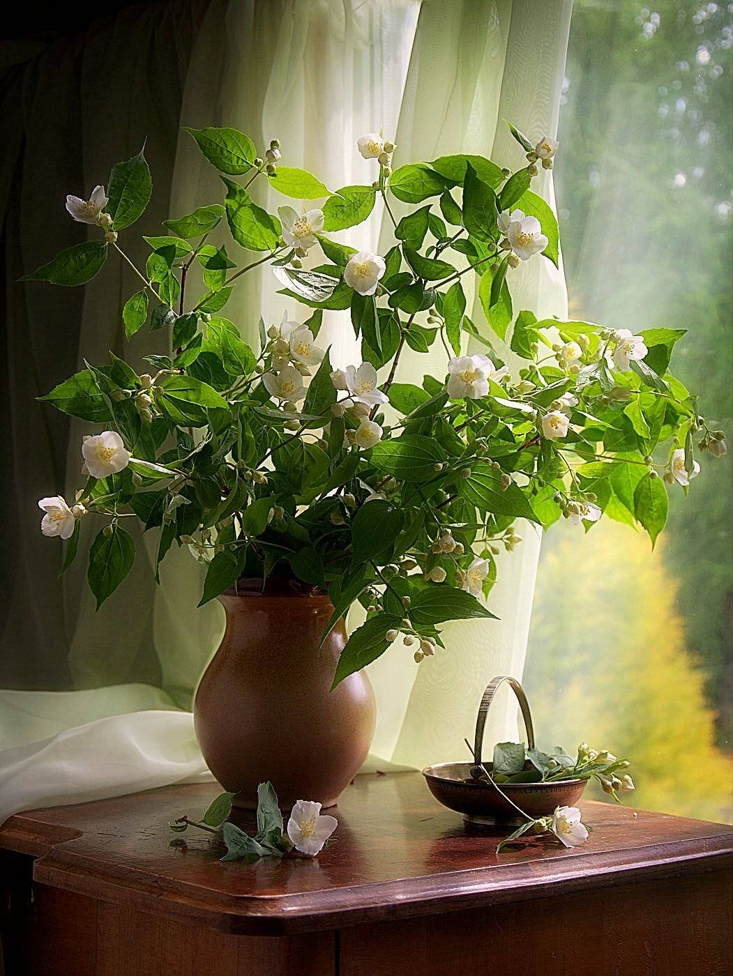 сергей алексеев, натюрморт, Сергей Алексеев