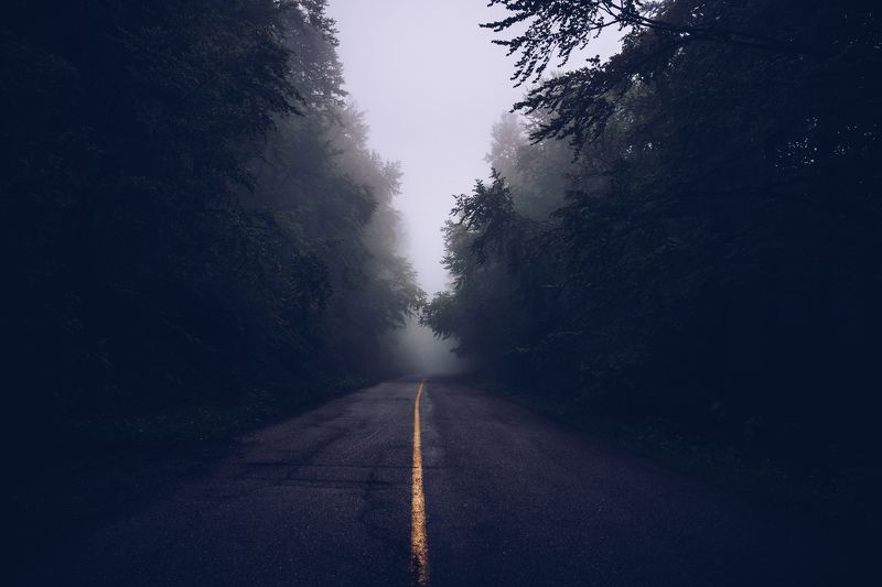 Lost фото превью
