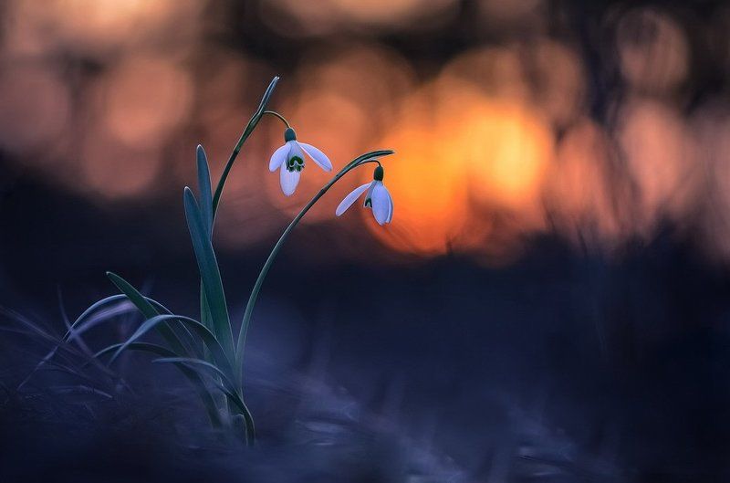 Поговори со мной фото превью