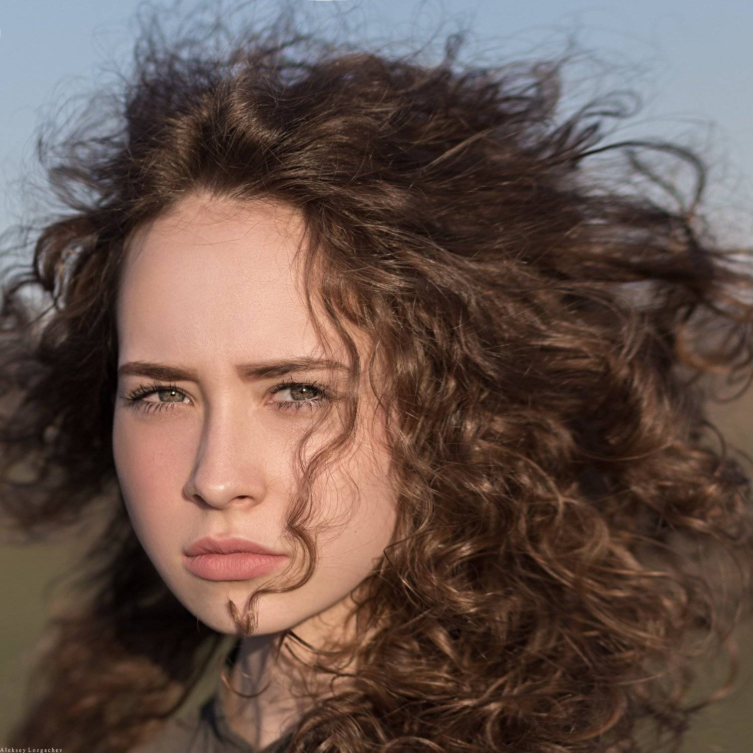 , Лозгачев Алексей