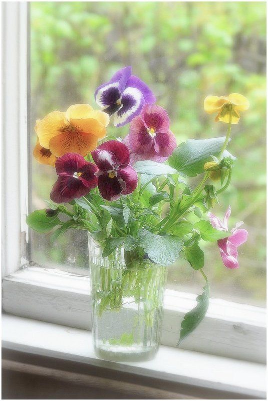 АкварельНО фото превью