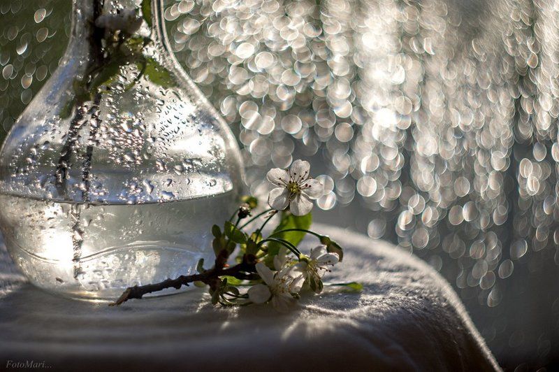 Фантазии с гелиосом. фото превью