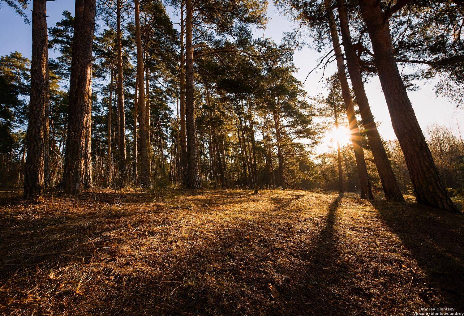 рассвет, природа, пейзаж, дубна, Андрей Олонцев
