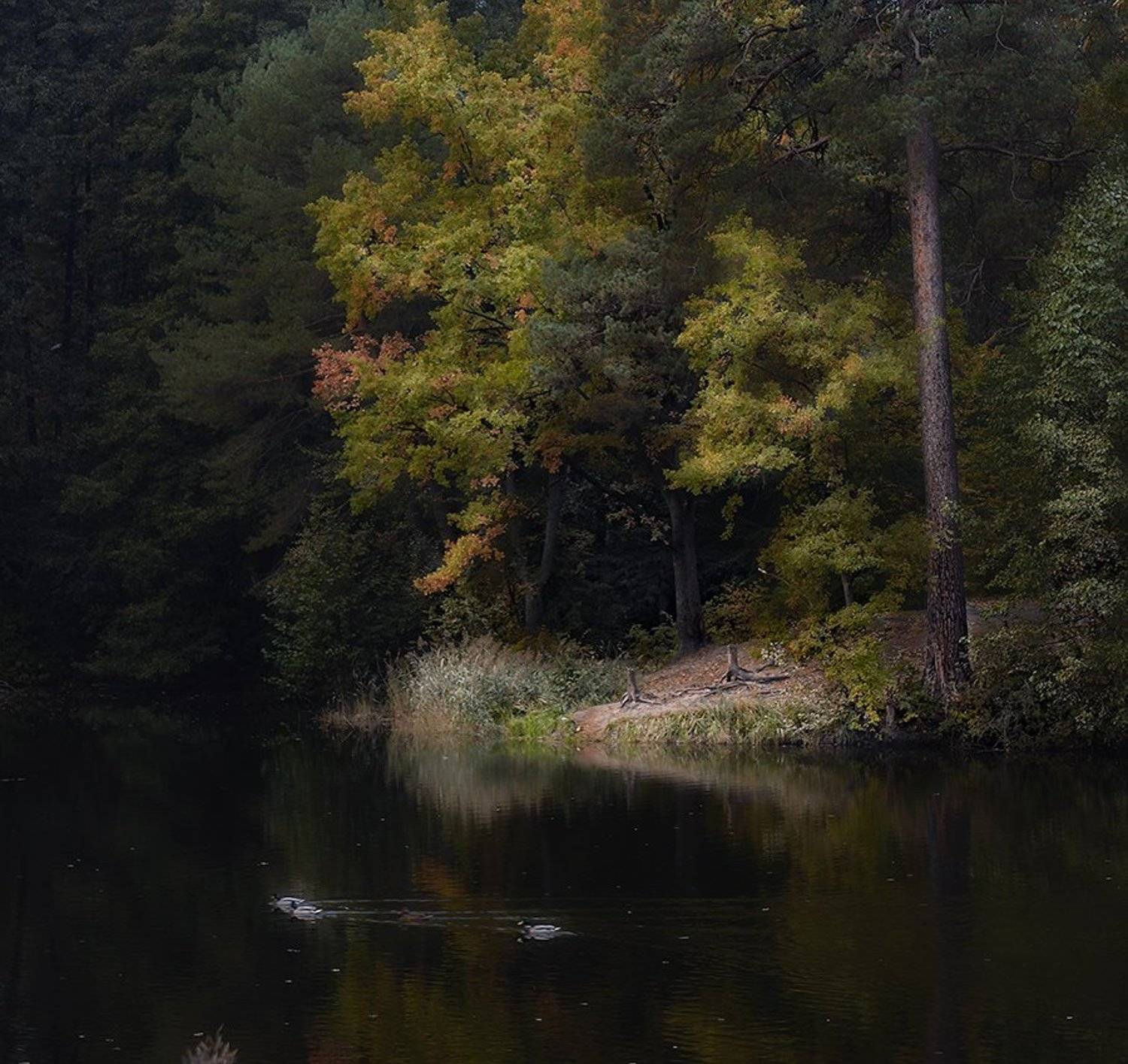 , александр