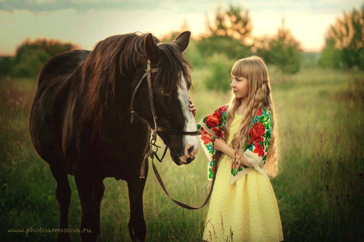 , Ирина Амосова