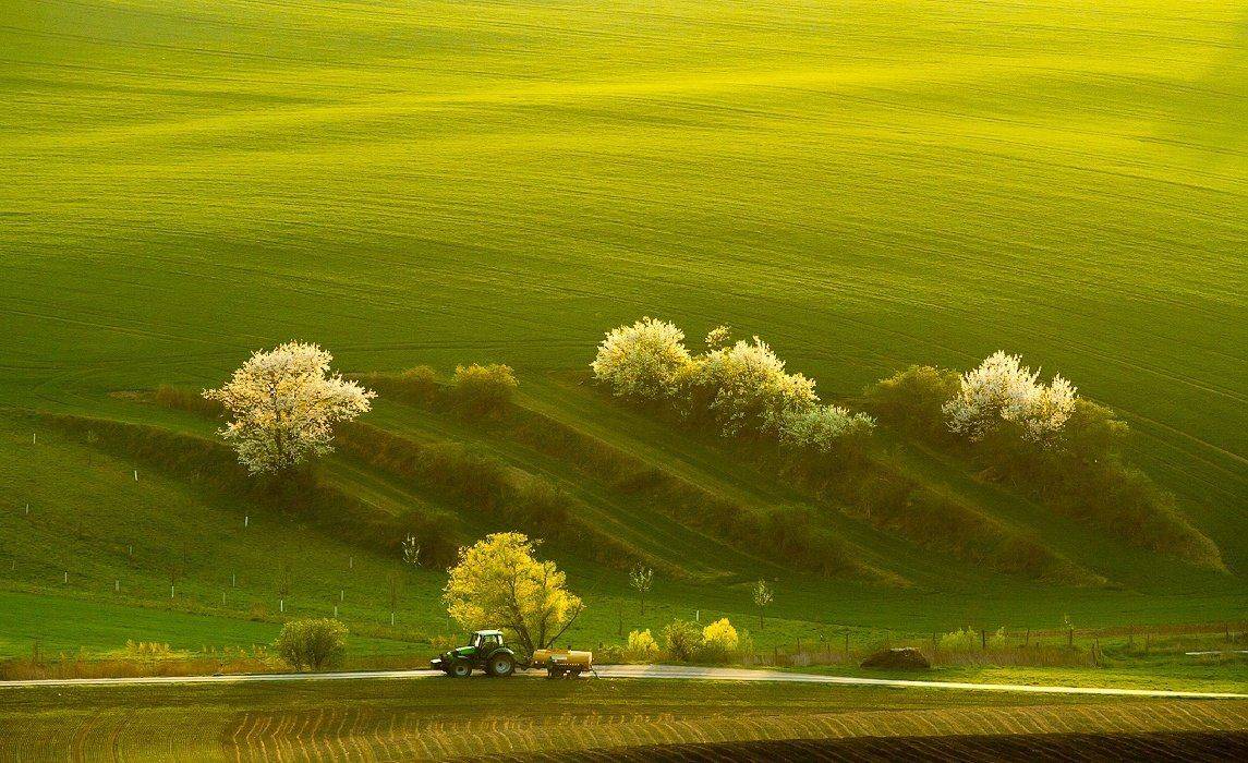 spring, tractor, field, landscape, green, Franti&scaron;ek Uhler