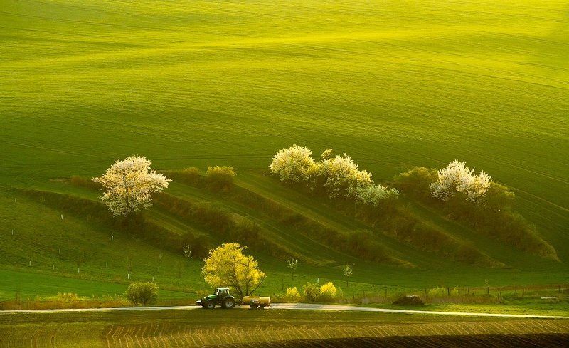 spring, tractor, field, landscape, green Spring tractor фото превью
