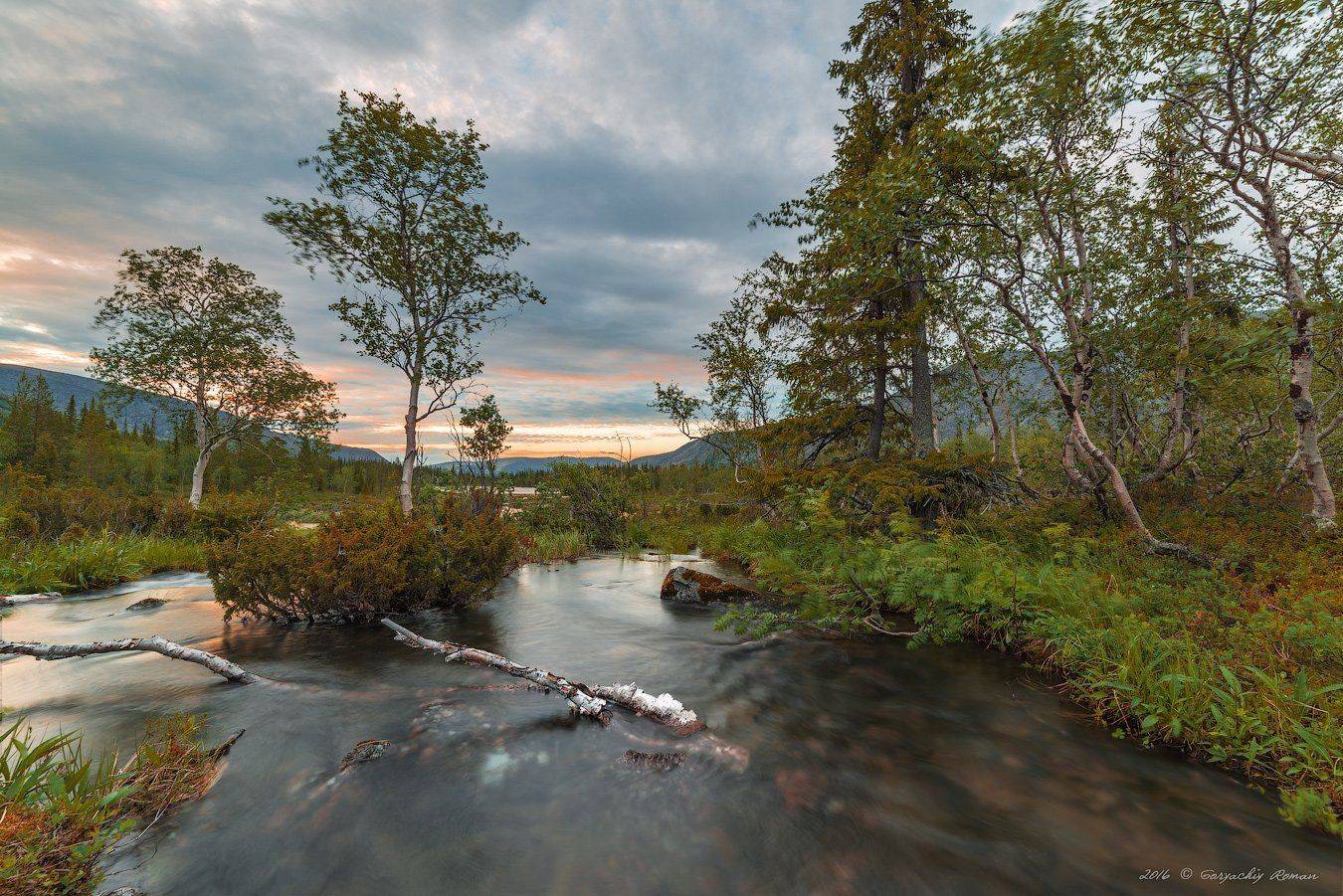 хибины, лето, кольский, заполярье, север, ночь, полярный день,, Роман Горячий