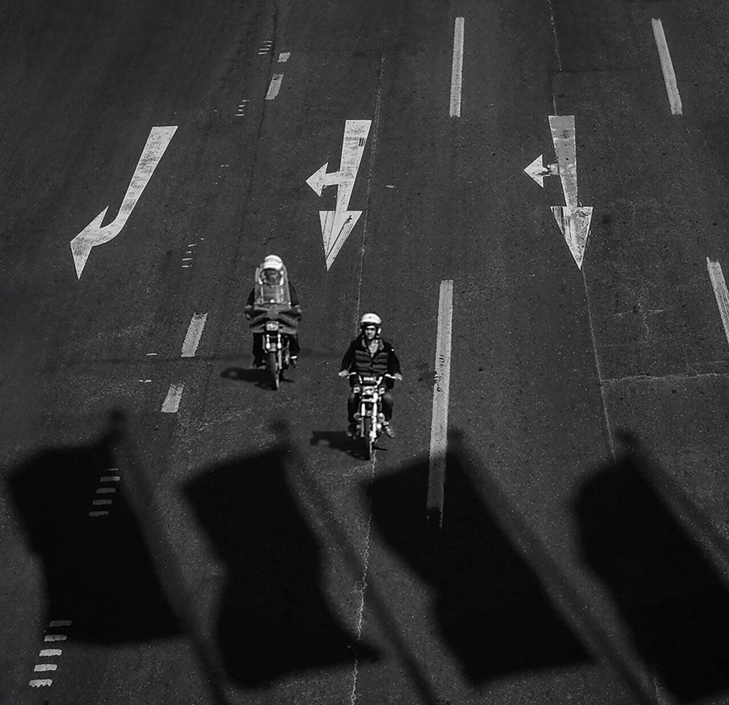  #Cross#breeding #animal #animal_editing #animal_fine_art #animal_flat #animal_photo #animal_photography #animal_surreal #architecture #art #art_people #art_portrait #azadi #b&w #be_one_bw #bear #bird #birds #black #black_and_white #blinds #blood #blue #b, Hossein Mehrzad