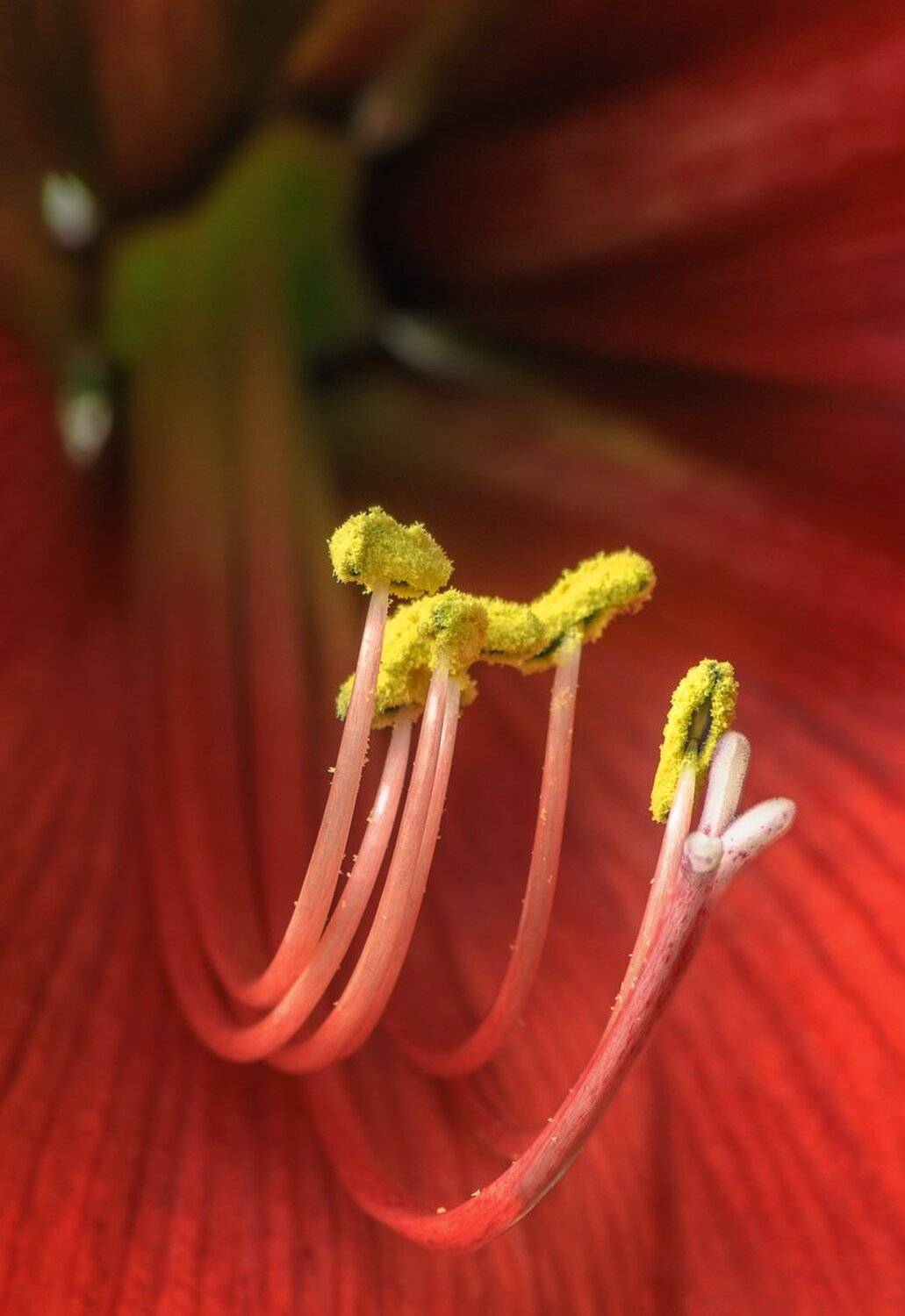 , Николай Андреев