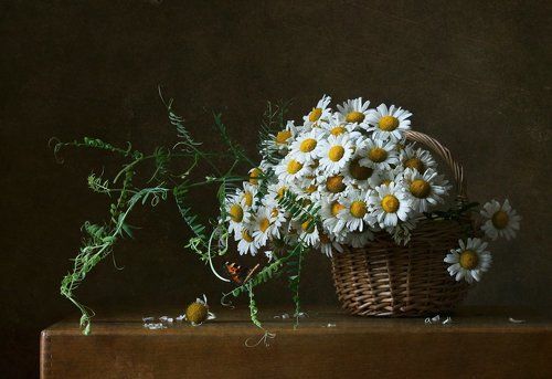 Корзинка с ромашками