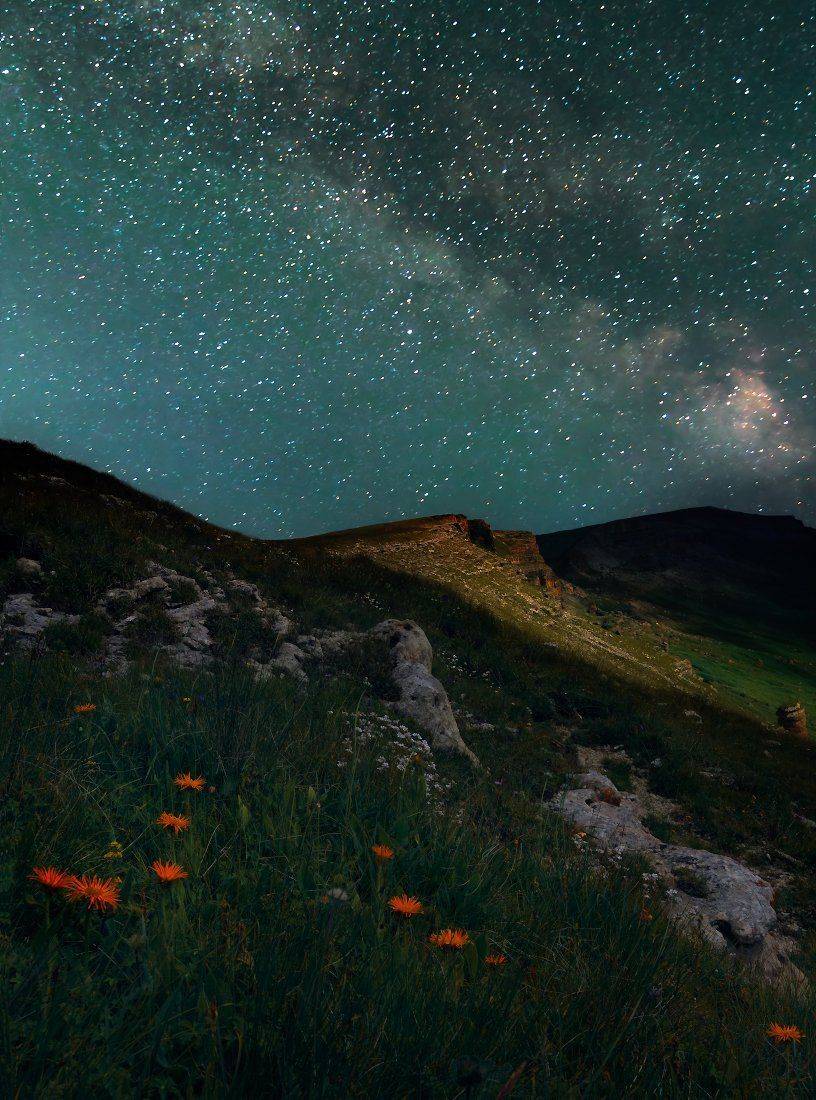 , Елена Брежицкая