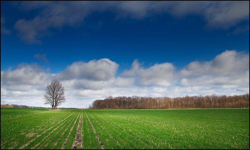 * фото превью