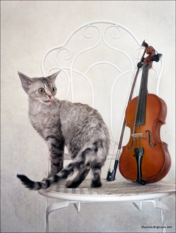 Сыграй мне весну фото превью