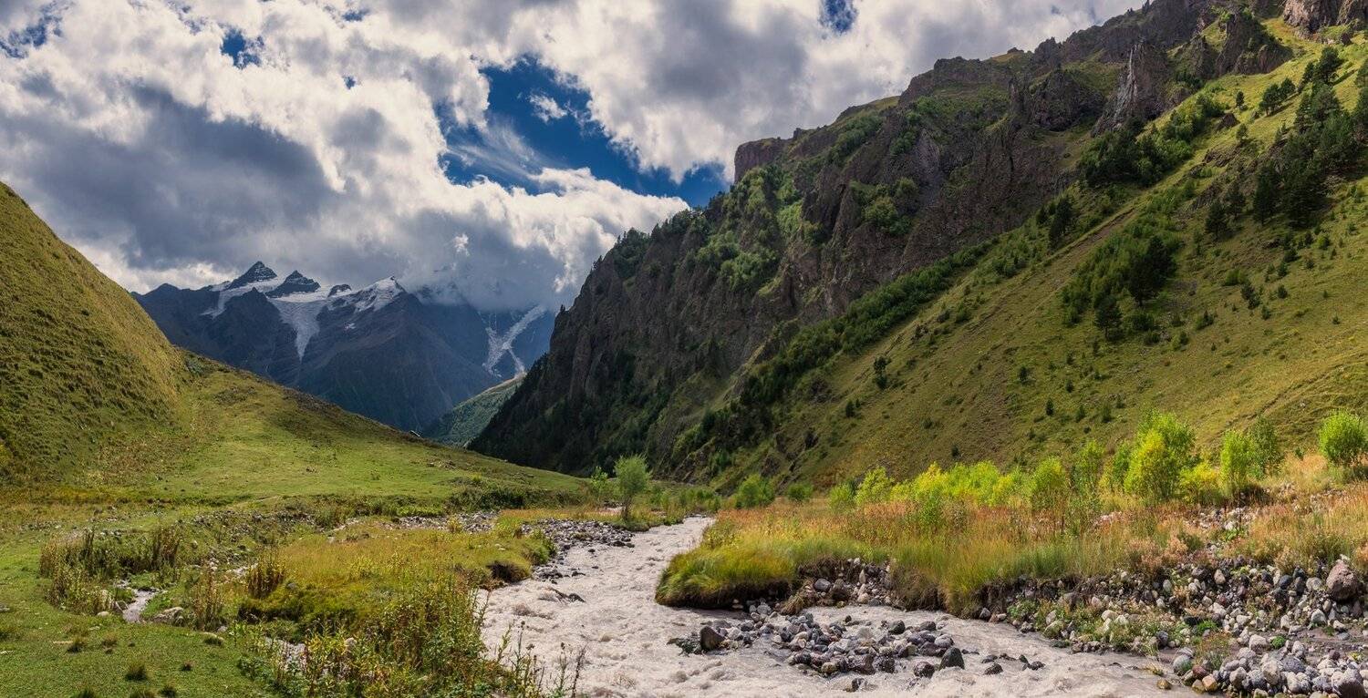 , Игорь Мелекесцев