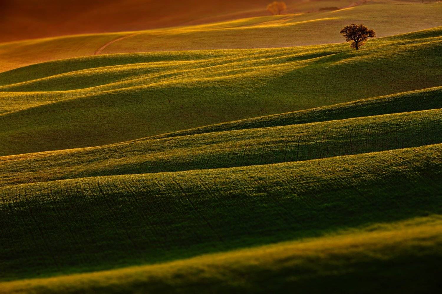 тоскана, Александр Перов