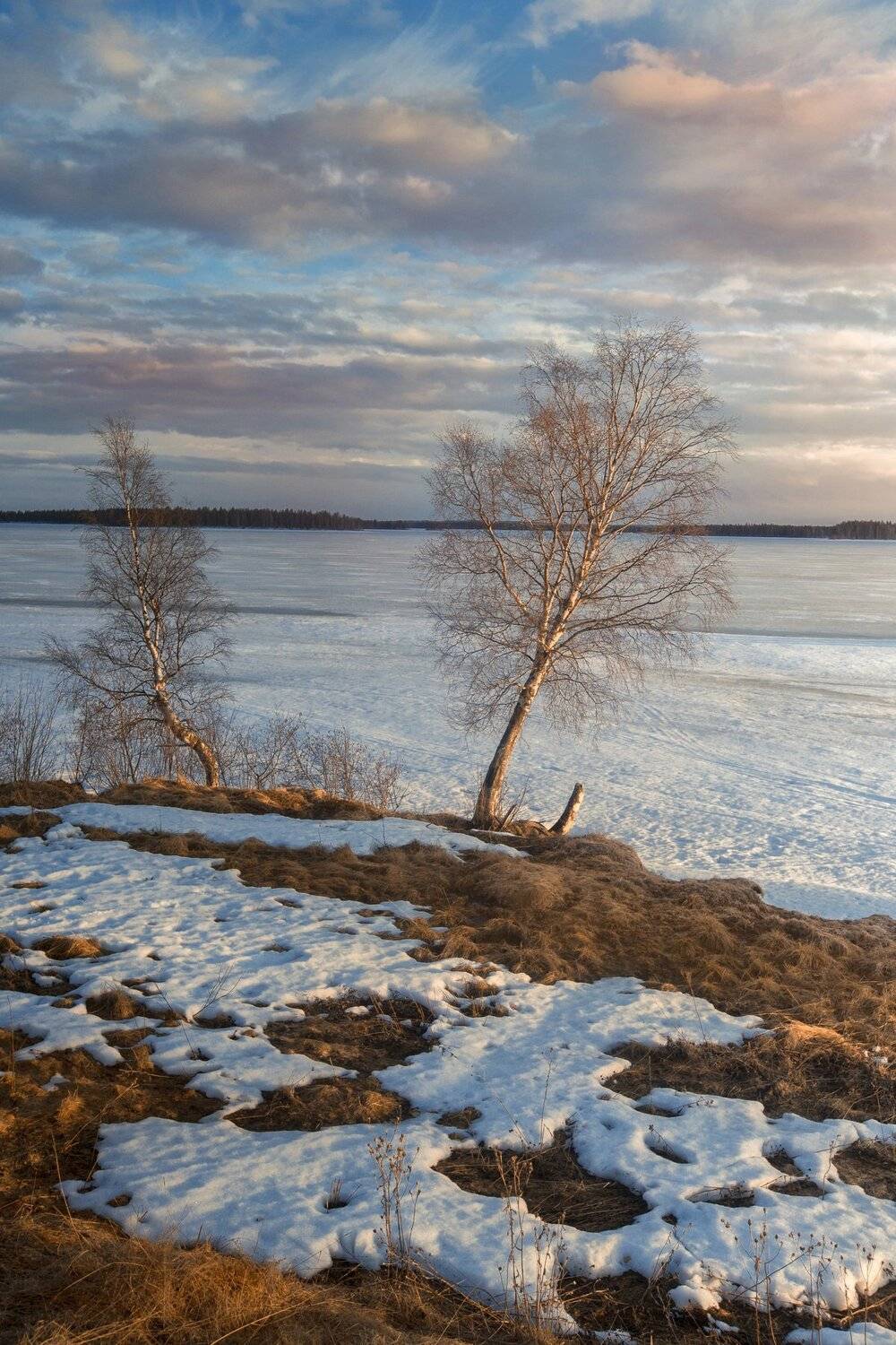 , Андрей Ершов