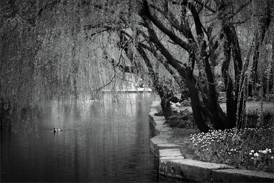 , Сергей Фудиненко