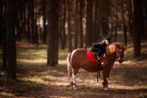 Леди Елизавета
