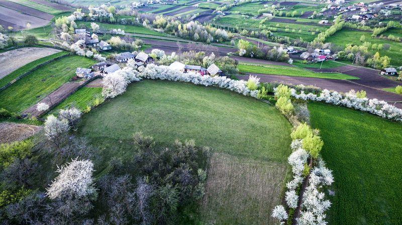 *** фото превью