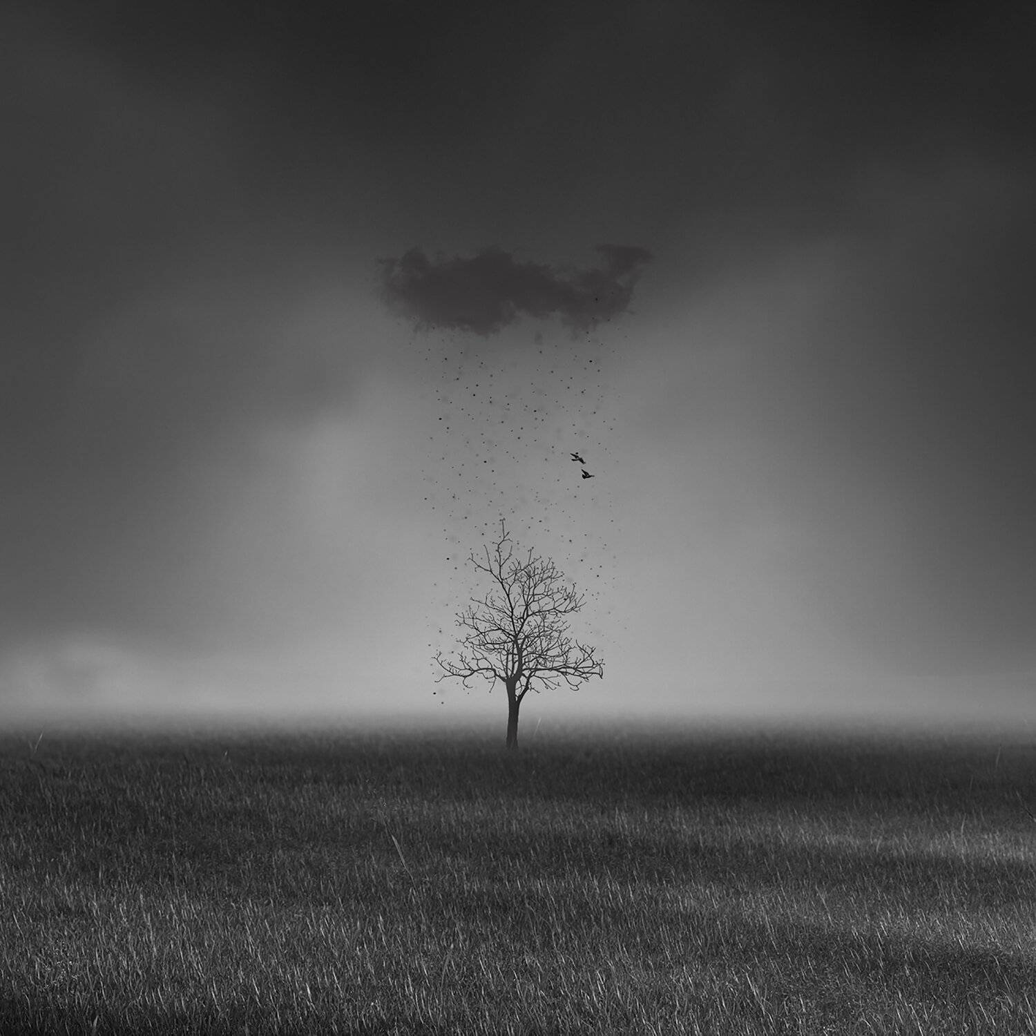 #man, #cloudly, #bnw, #fine_art, #sky, #cloud, #mehrzad_photo, #hossein_mehrzad, #black_and_white, #b&w, #editing, #photoshop, #creative, #photo_art, #digital, #mehrzad, #photography, #creative_art, #consept_art, #freedom, #woman, #blood, #pesonal, #crush, Hossein Mehrzad