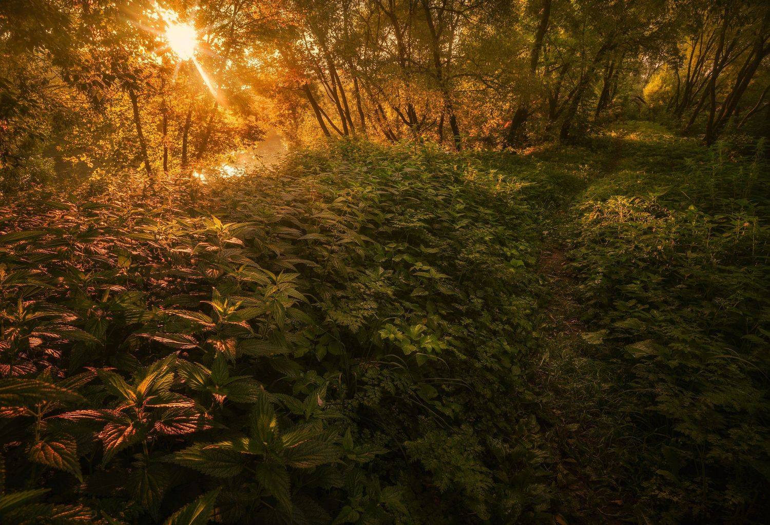 никон, пейзаж, Морозов Юрий