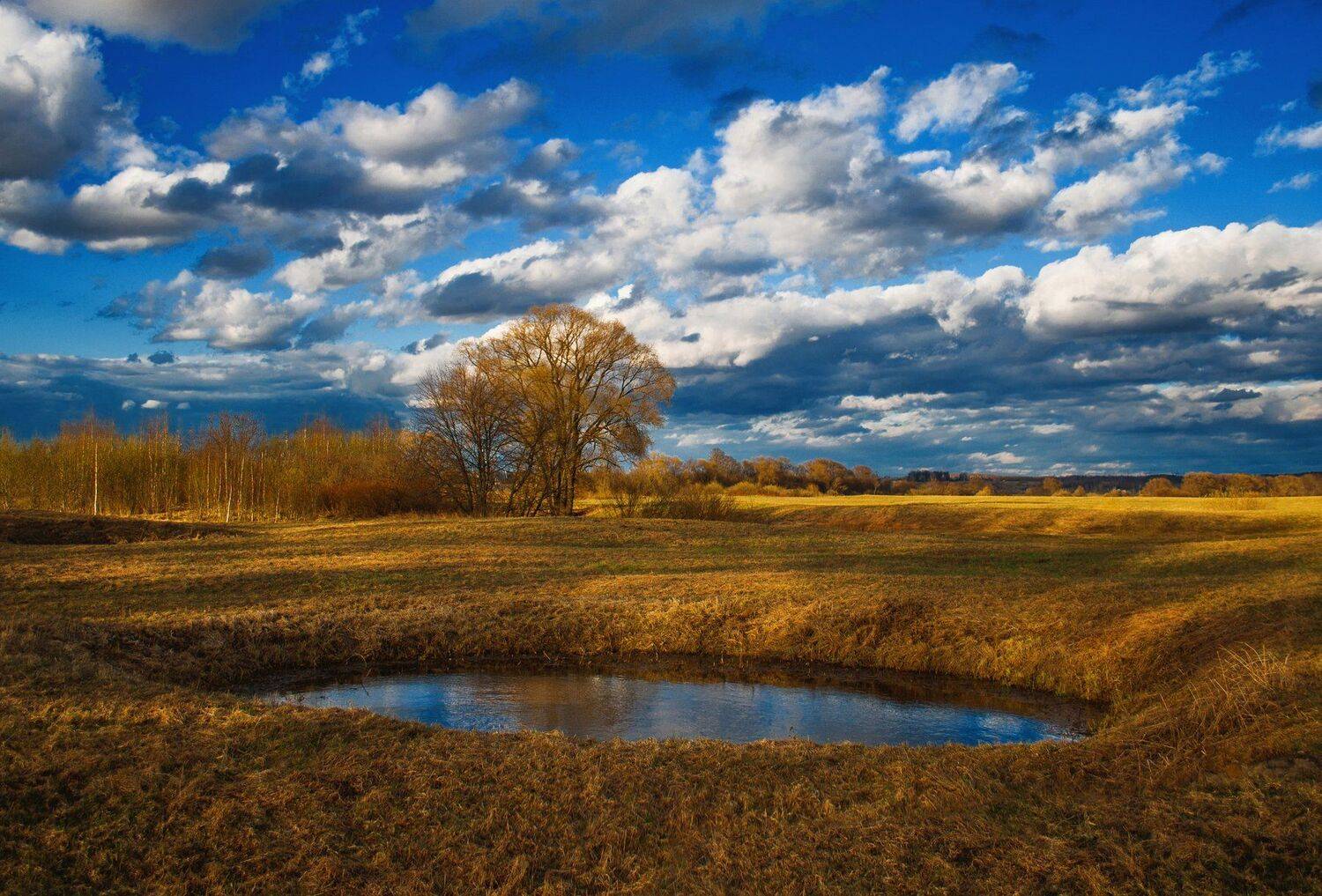 фото, природа, закат, лес, весна, Екатерина