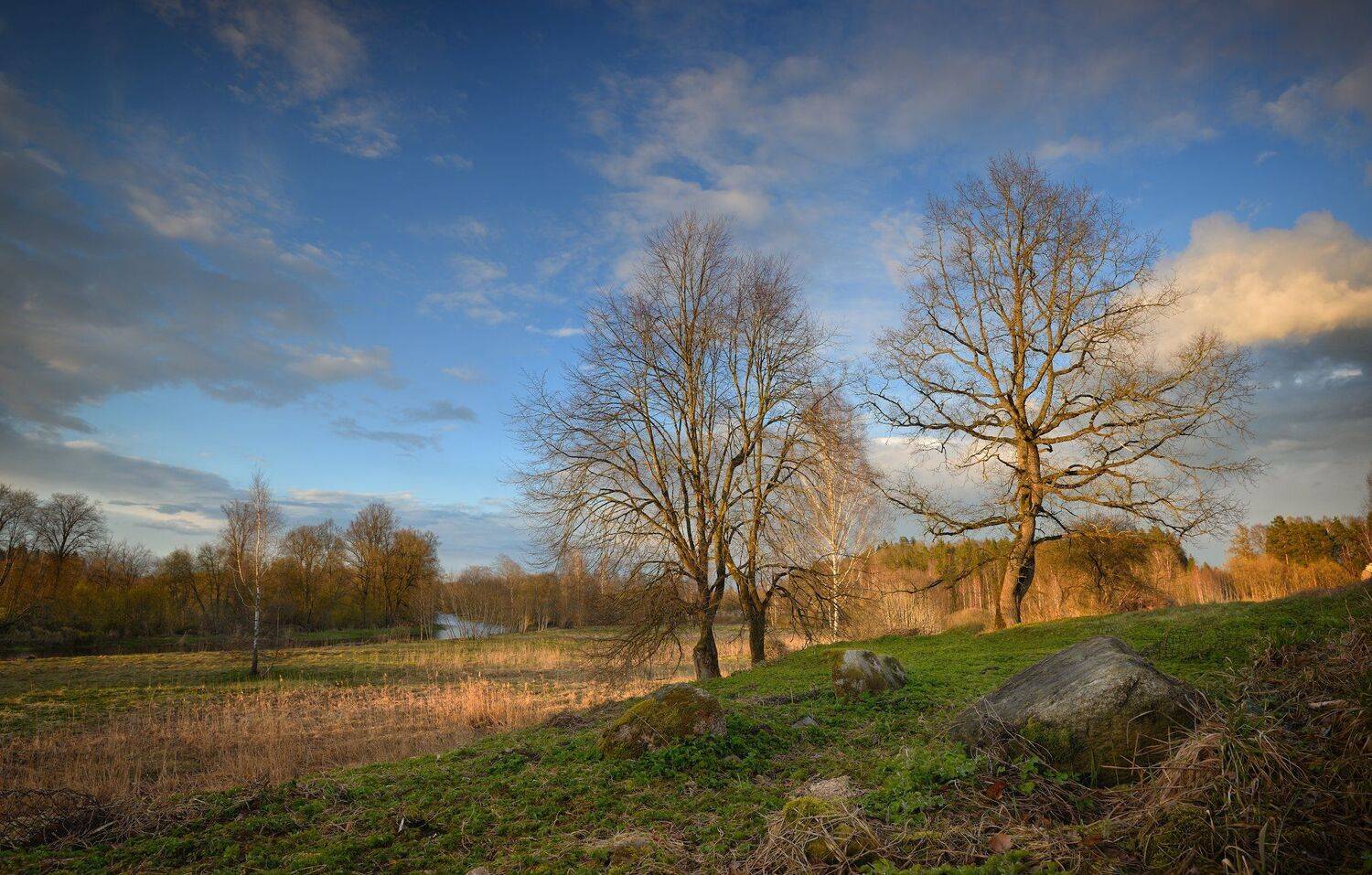 пейзаж вечер закат деревня, Алексей Мельситов