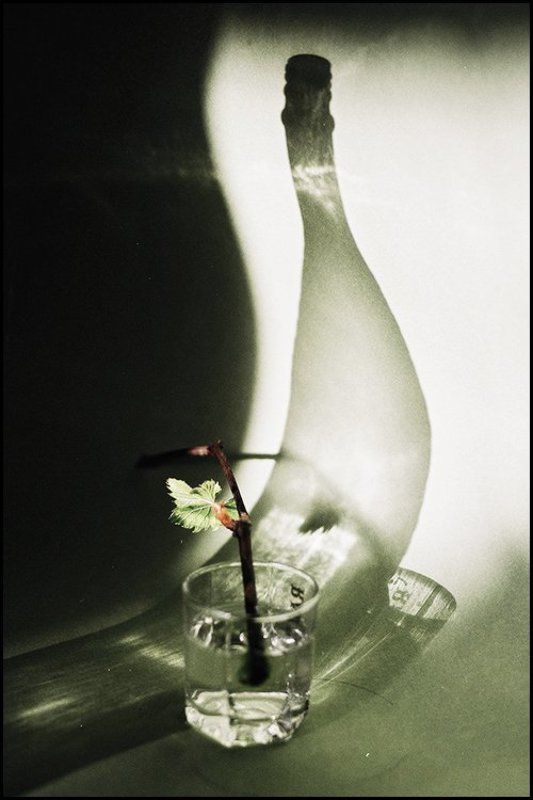 Кривая да Нелёгкая фото превью