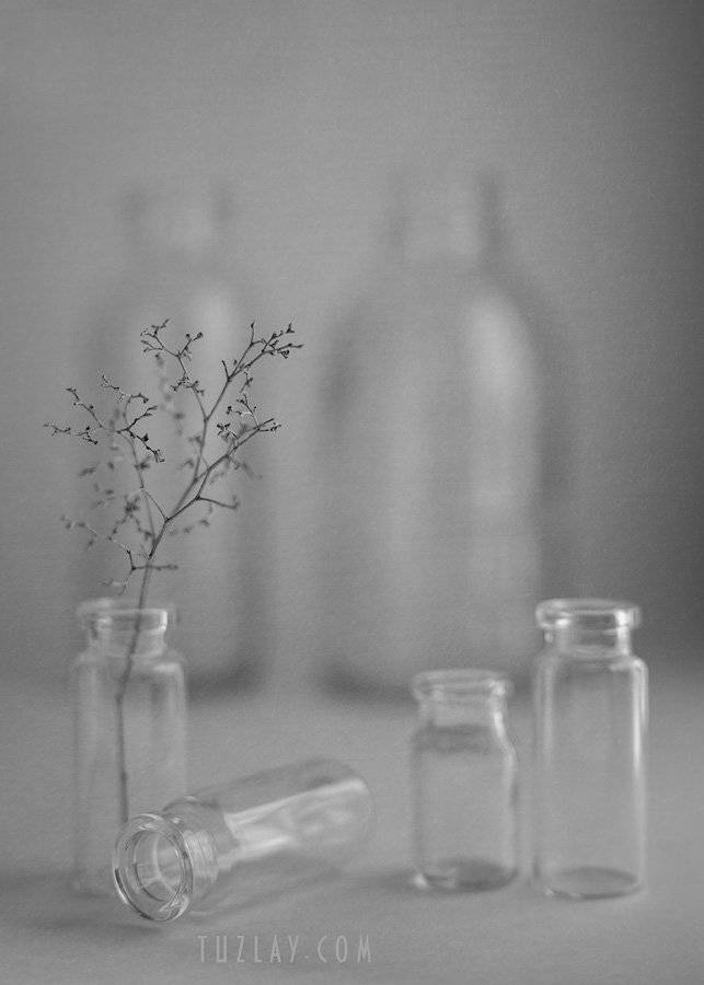 , Владимир Тузлай