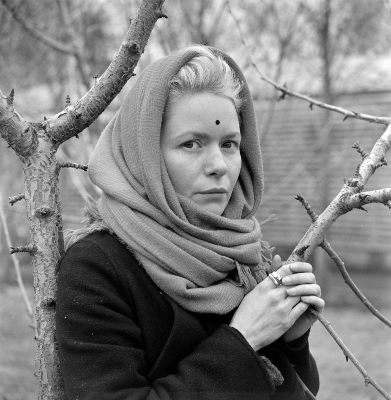 , Петр Стуль