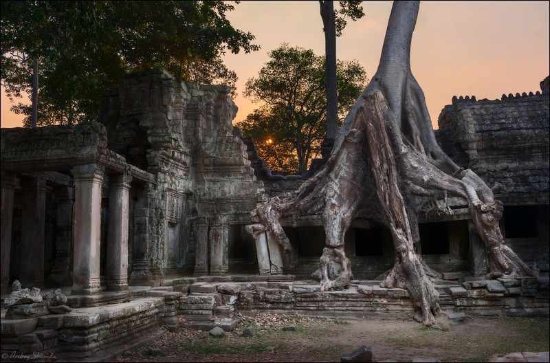 Preah Khan, Cambodia фото превью