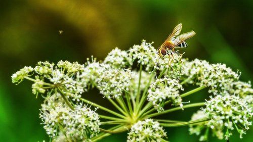 За сладким! 