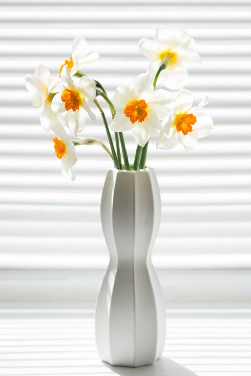 , Юлия Густерина